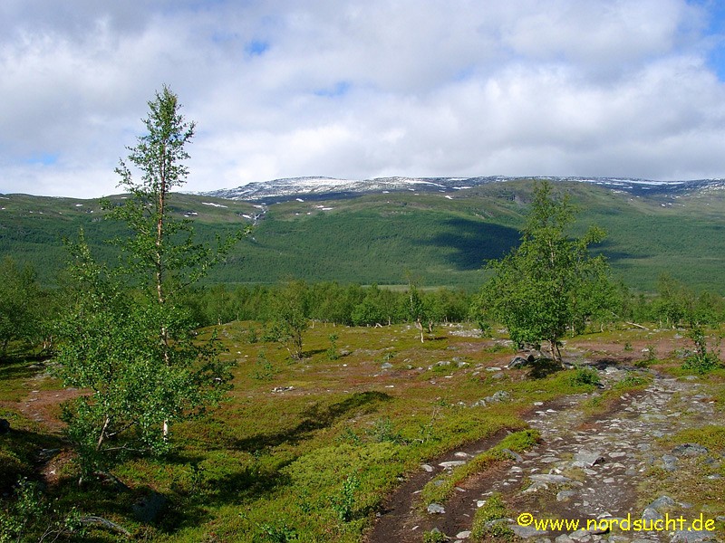 kungsleden023